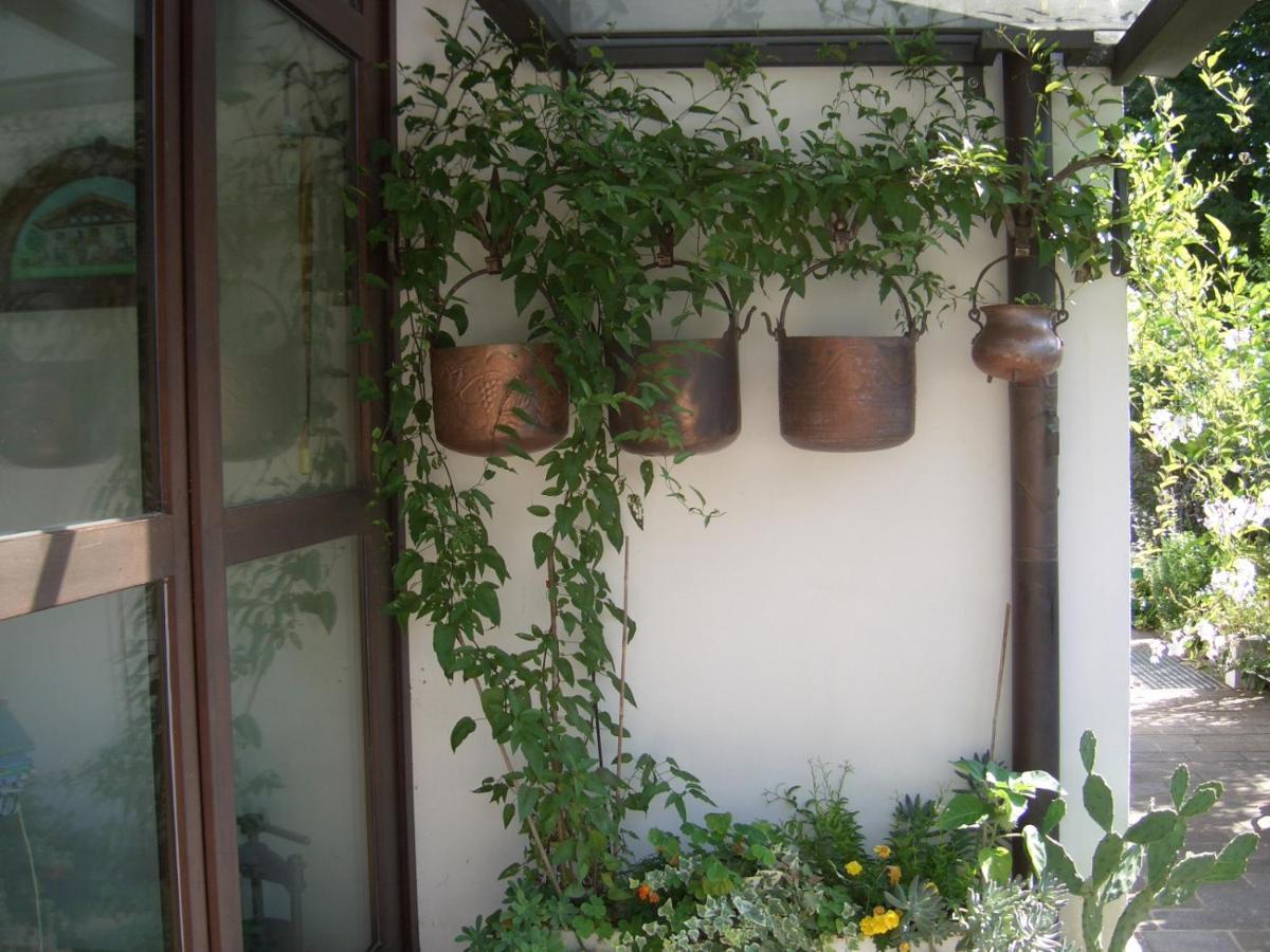 Tarcento B&B Scaccia Pensieri מראה חיצוני תמונה